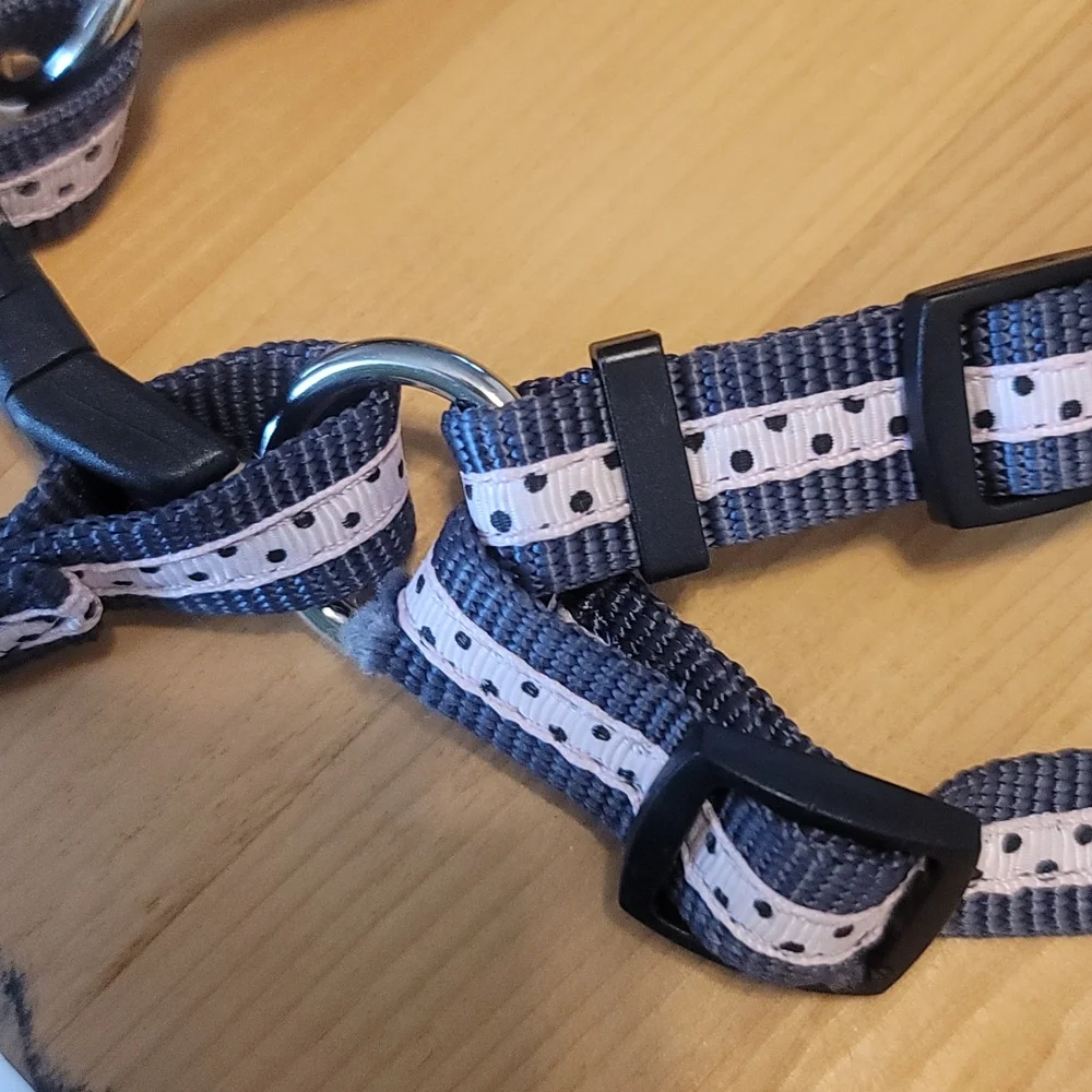 Femle Dog Polkadot HARNESS and MATCHING LEASH